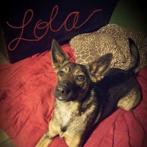 Meet your Posher, Joy